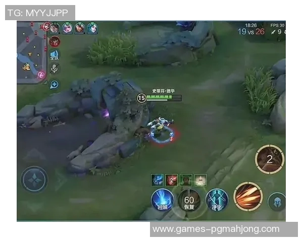 热议王者荣耀WE灵活性变革对战术策略与玩家体验的深远影响